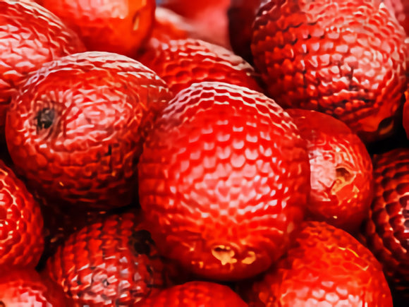 Buriti-fruit-image