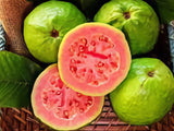 Organic Guava Seed Oil